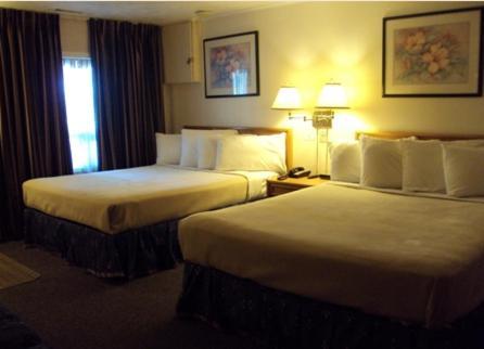 Twin Peaks Motel Napanee Extérieur photo