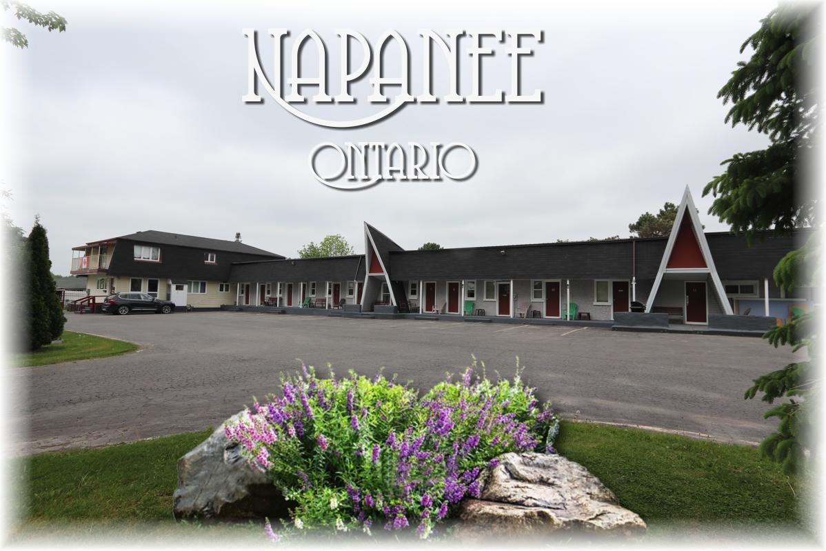 Twin Peaks Motel Napanee Extérieur photo